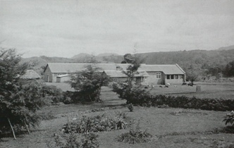 Early Hospital Vision